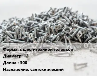 Шуруп с шестигранной головкой 12х300 сантехнический